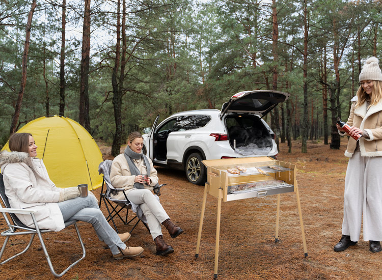 Portable Grills and Gas Stoves