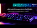 Mechanical Gaming Keyboard